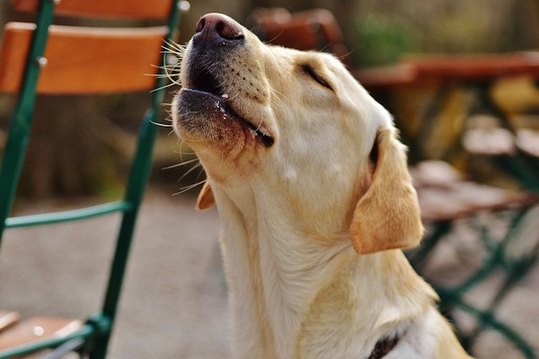 ��� ������ ��� ������: ��� ������, � ��� �������� ��� �������